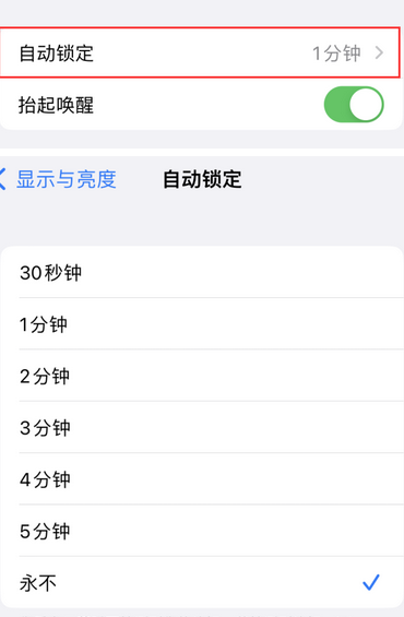 山东苹果换屏维修分享无法调整iPhone自动锁屏的时间怎么办